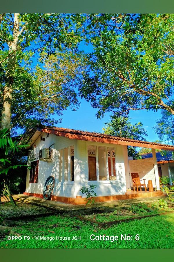 Mango House Japanese Guest House Negombo Exterior photo