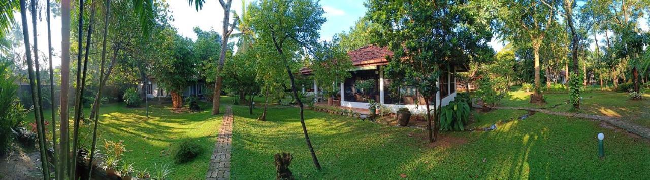 Mango House Japanese Guest House Negombo Exterior photo